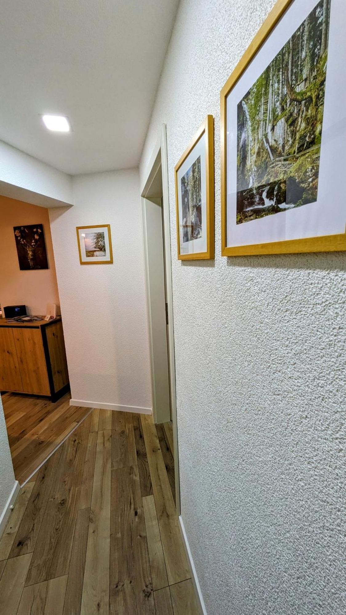 Ferienwohnung Albbruck/Albert Buitenkant foto